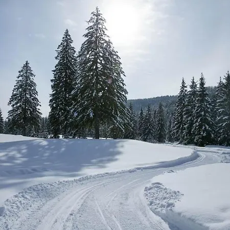 9, Lucnica, Chopok Juh טאלה