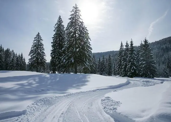 9, Lucnica, Chopok Juh Tale